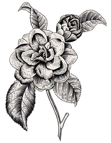 Bouquet de camelias - Mariage à soie - Fleurs